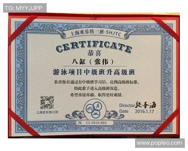 米易篮球明星的成长之路与辉煌成就全景回顾