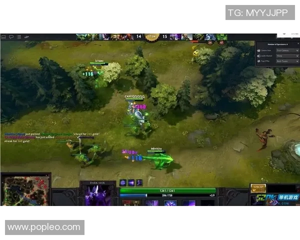 DOTA2战术解析：深入探讨EDG快攻策略与执行技巧